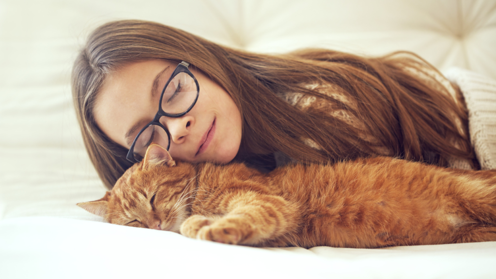 Is your cat sleeping with you? You should be thrilled!