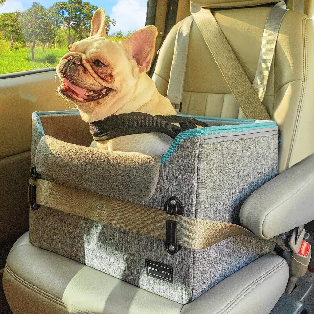 Small Dog Car Seat