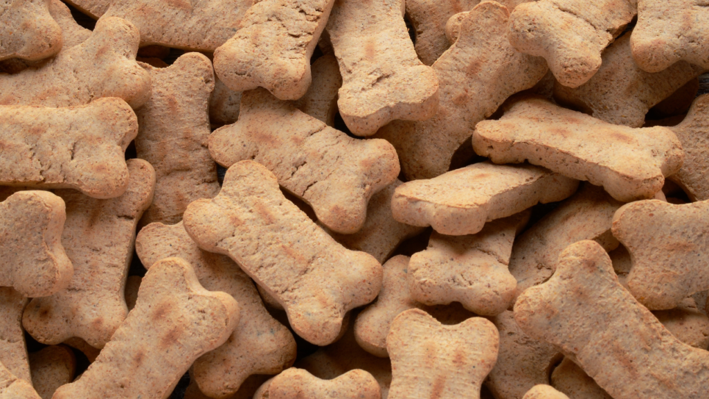 homemade dog treats