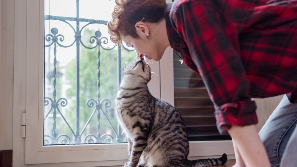 How to Tell Your Cat You Love Them in 15 Ways